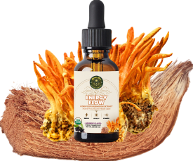 Energy Flow - Cordyceps