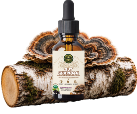 Gut Guardian - Turkey Tail